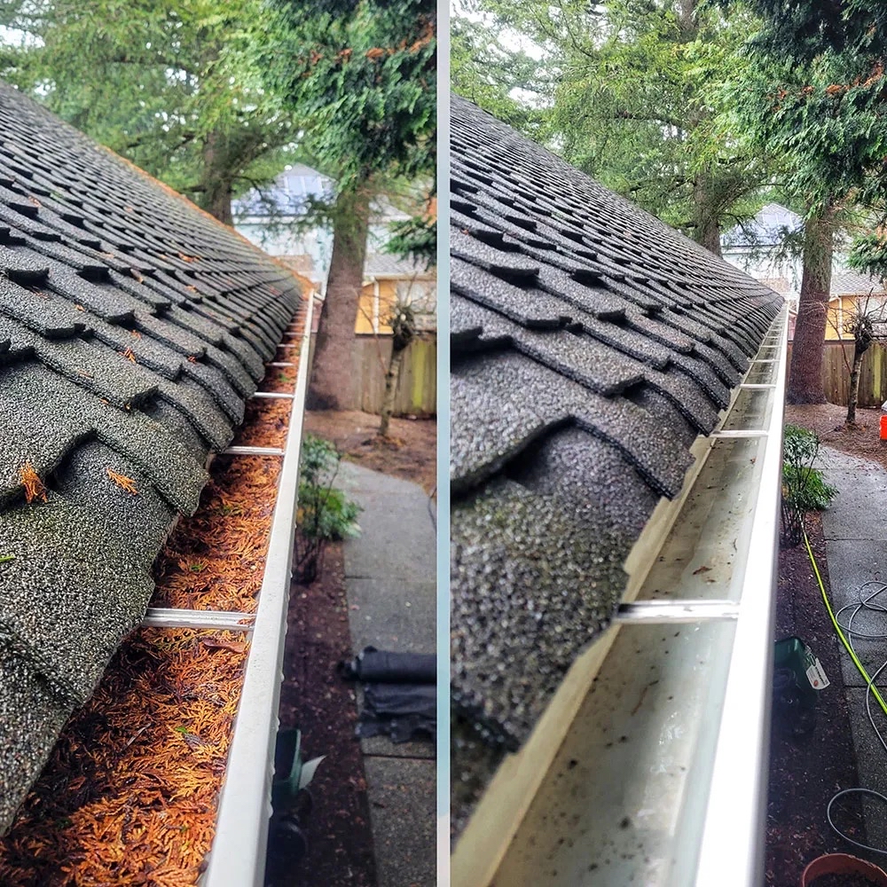 Gutter Cleaning